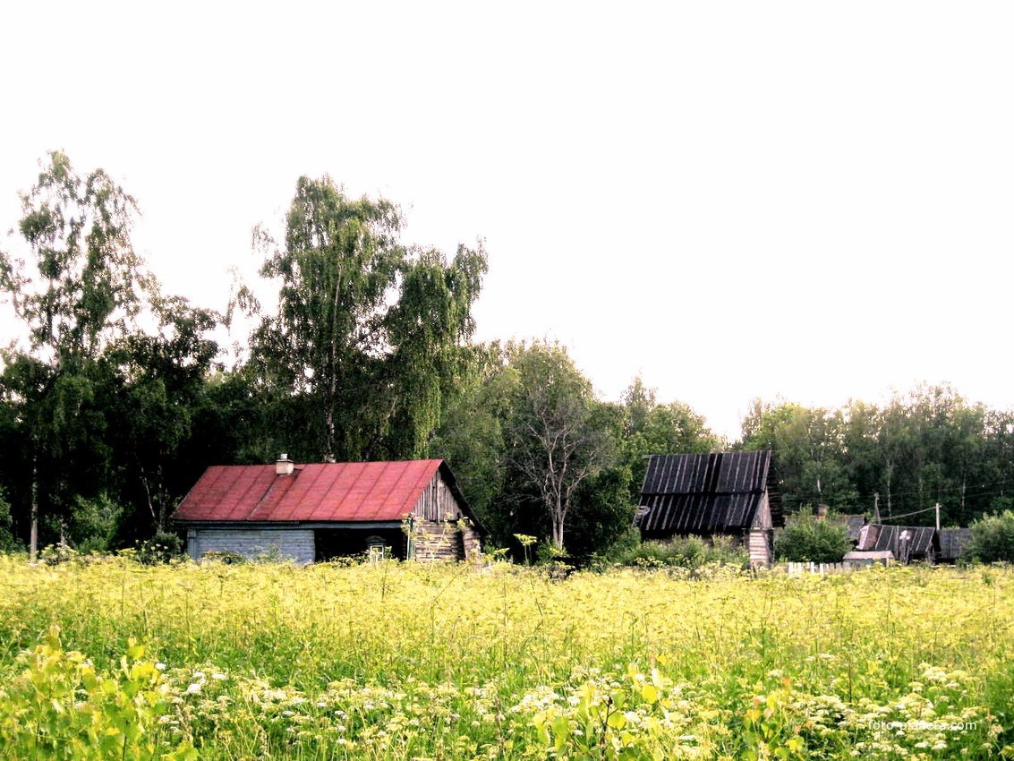 д.Колесницы