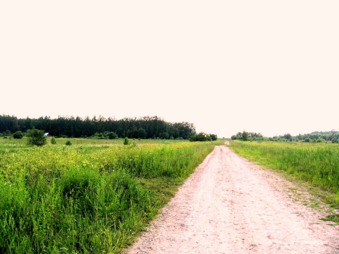 дорога в никуда(справа д.Колесницы впереди ров и железная дорога Шуя-Иваново