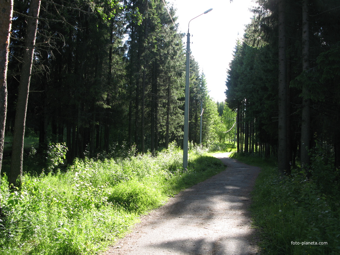 Сыктывкар 2014