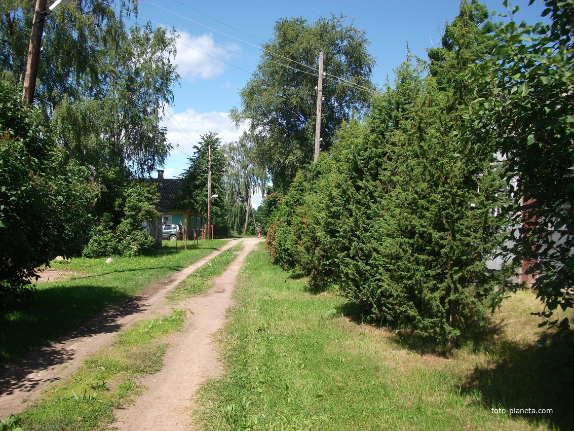 одна из улиц в деревне Сторожинец
