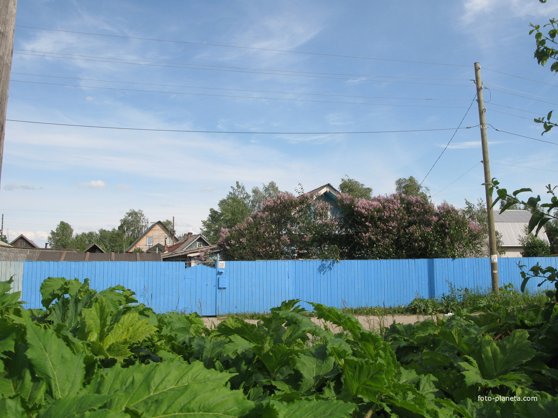 Сыктывкар 2014 - ул. Колхозная