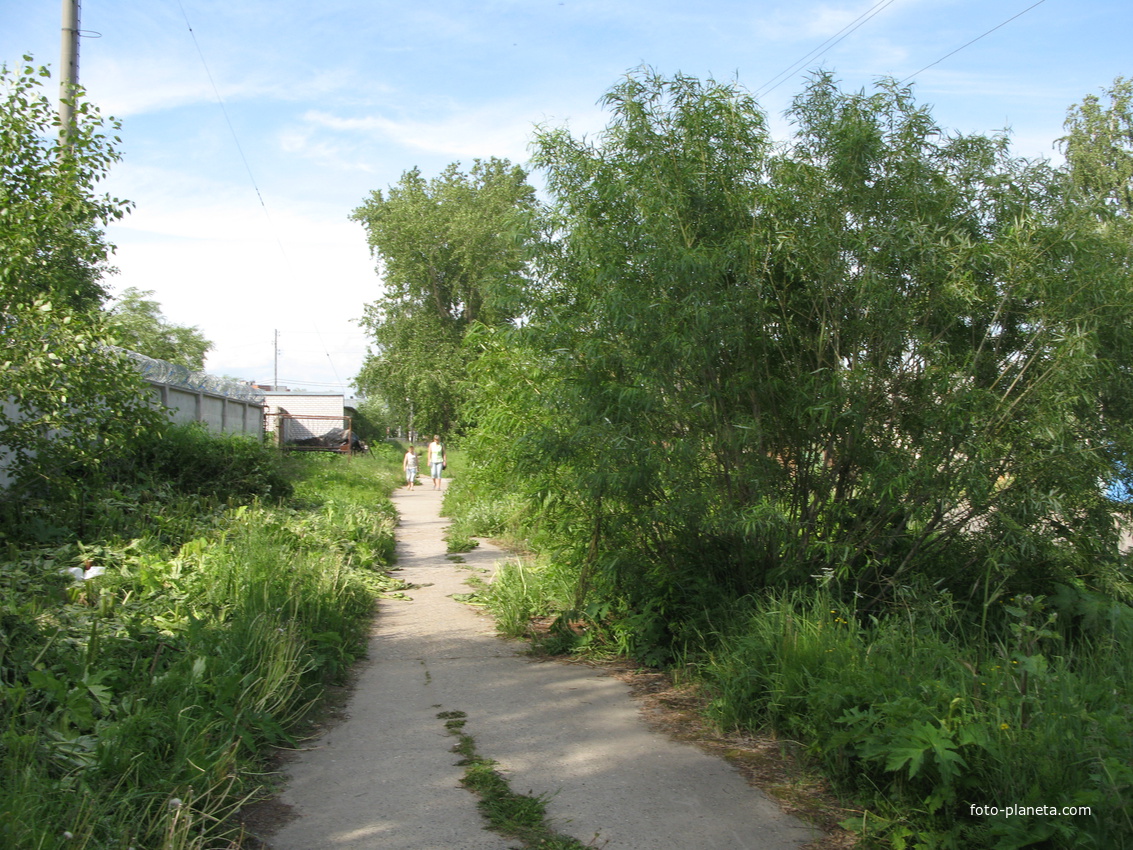 Сыктывкар 2014 - ул. Колхозная