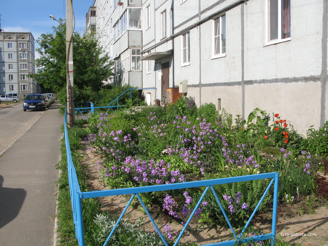 Сыктывкар 2014