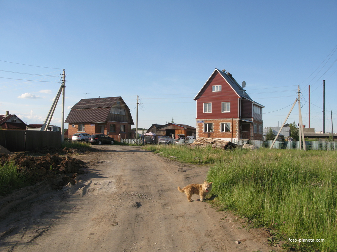 Выльгорт 2014 - ул. Шишкина