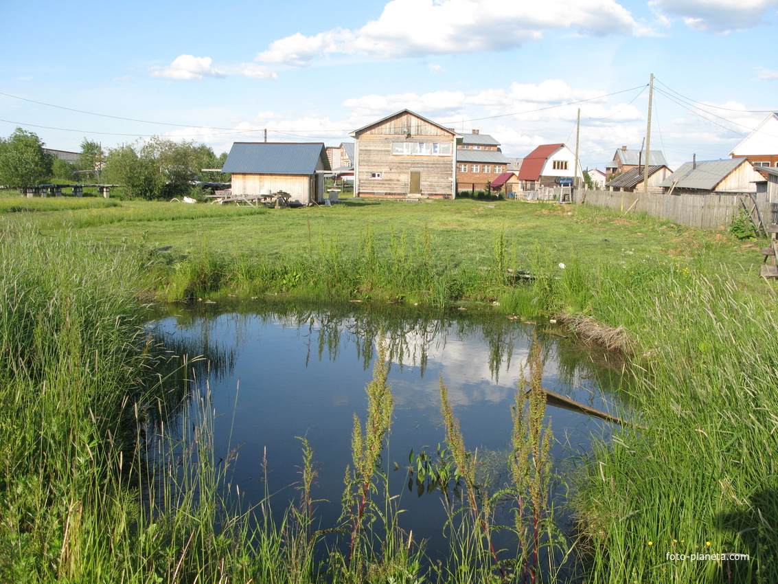 Выльгорт 2014 - ул. Шишкина