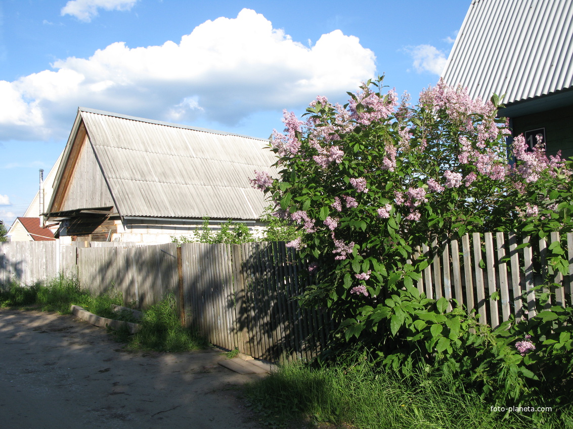 Выльгорт 2014 - ул. Шишкина