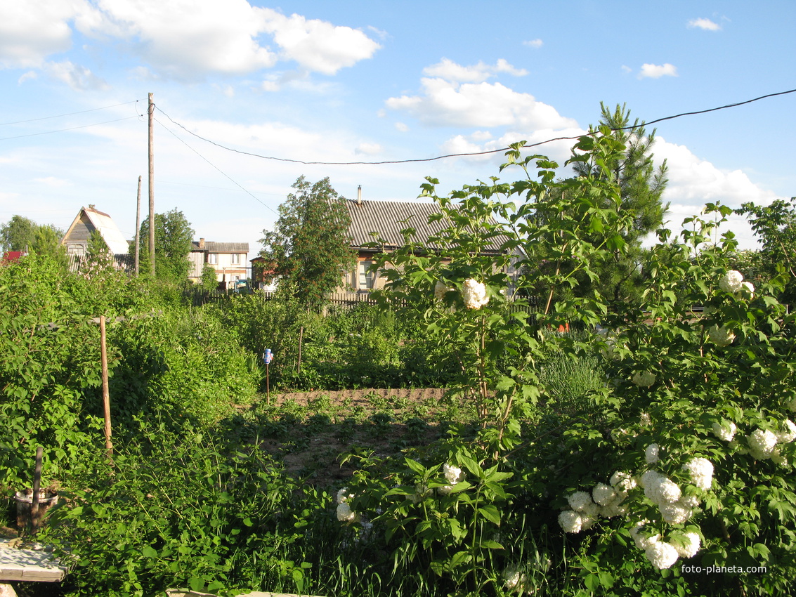 Выльгорт 2014 - ул. Шишкина