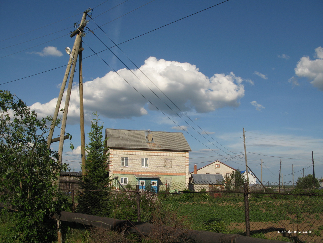 Выльгорт 2014