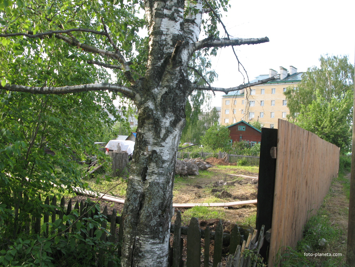 Сыктывкар 2014 - Давпон