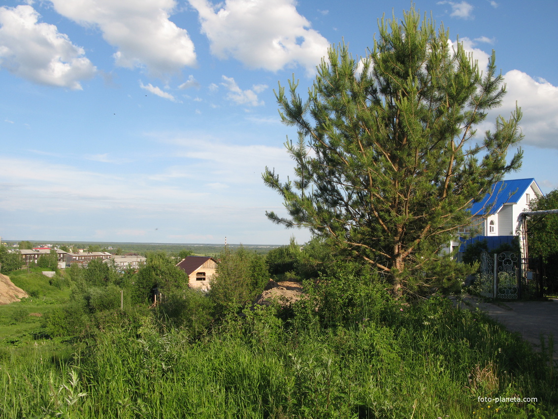 Выльгорт 2014