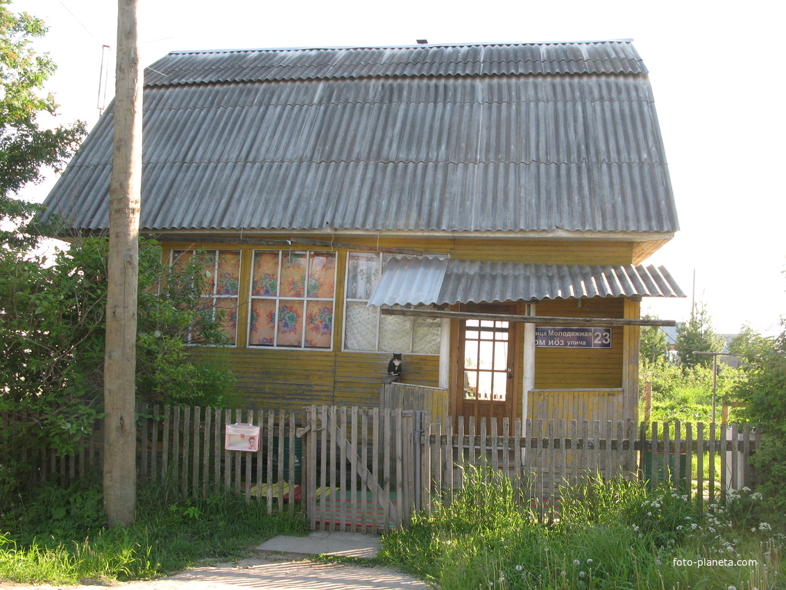 Выльгорт 2014