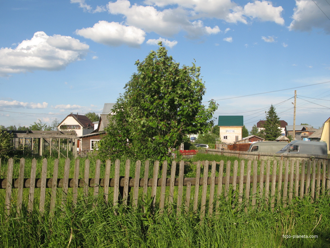 Выльгорт 2014