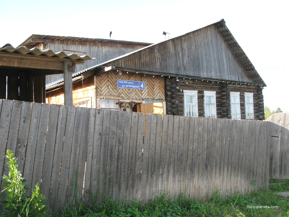 Выльгорт 2014