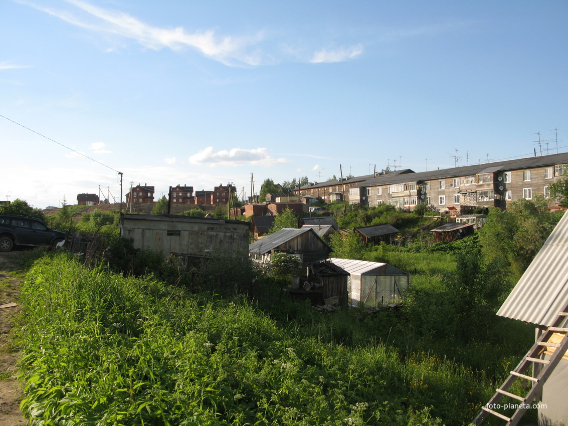 Выльгорт 2014