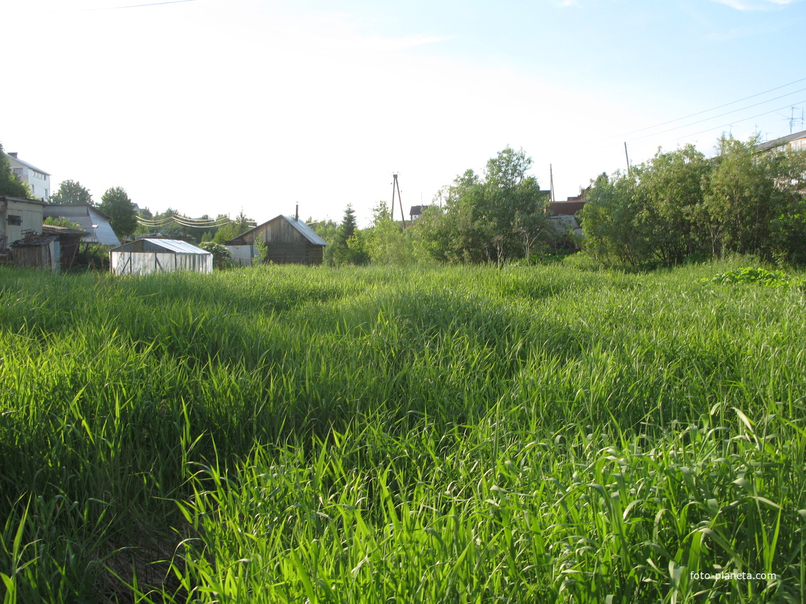 Выльгорт 2014 - ул. Железнодорожная