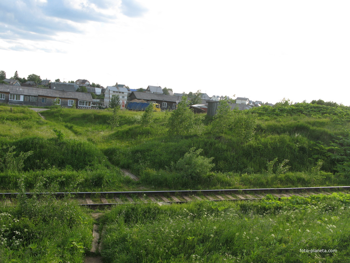 Выльгорт 2014