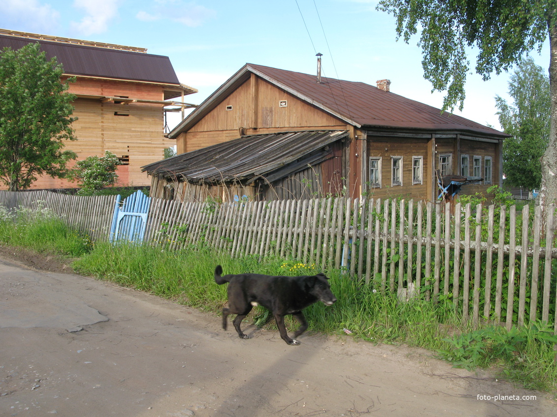 Сыктывкар 2014 - Давпон