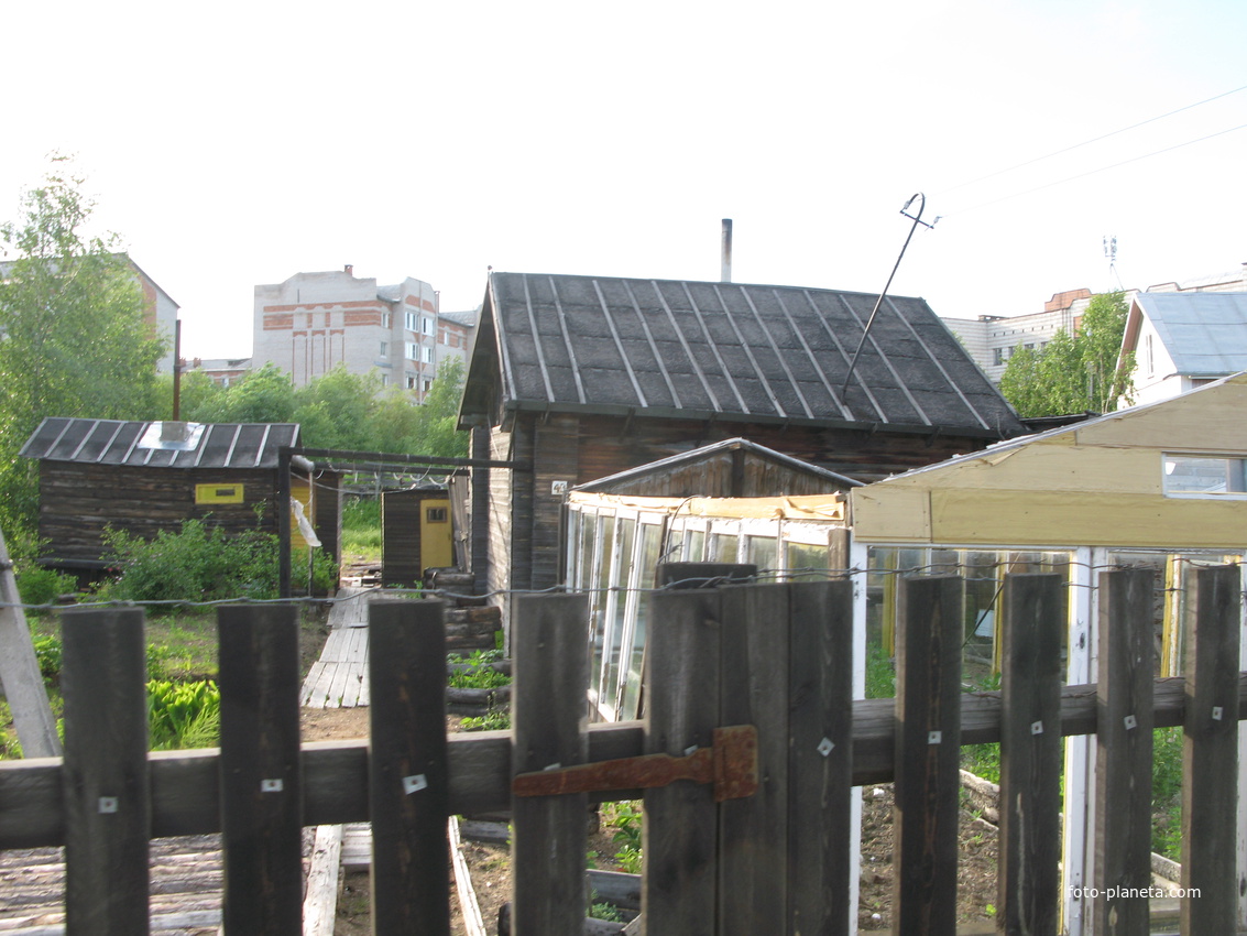 Сыктывкар 2014 - Давпон