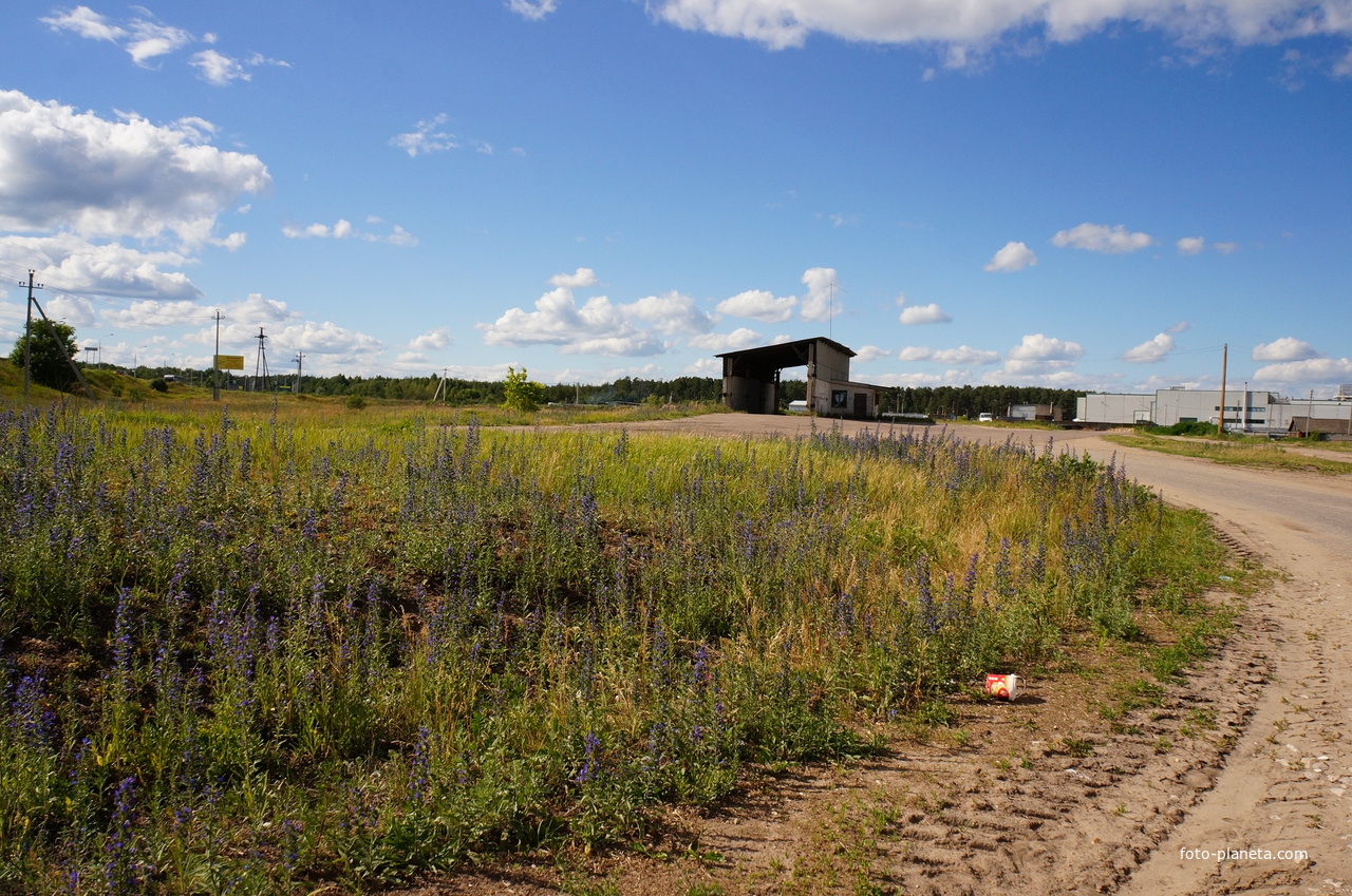 Лужники, весовая