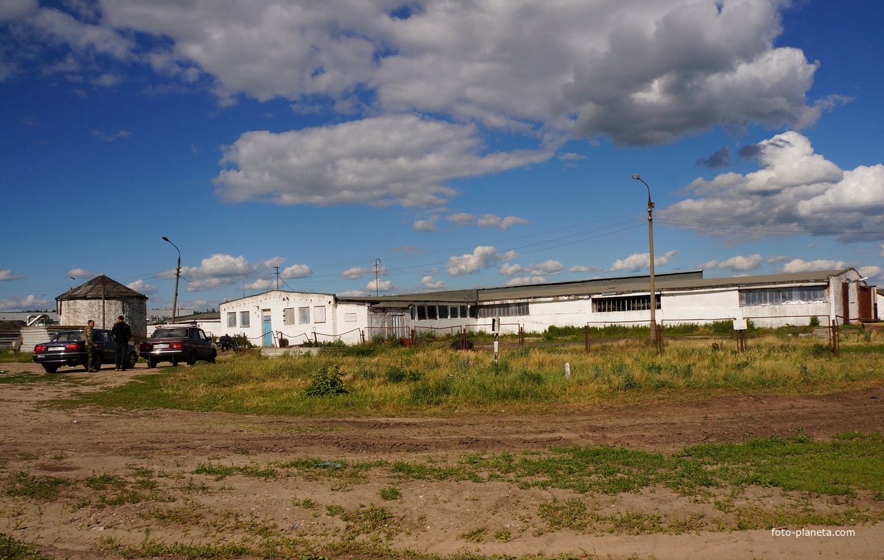 Лужники, ферма