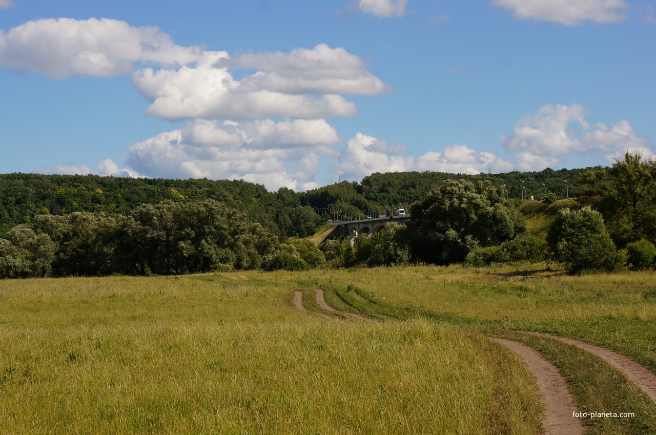 Заливной луг