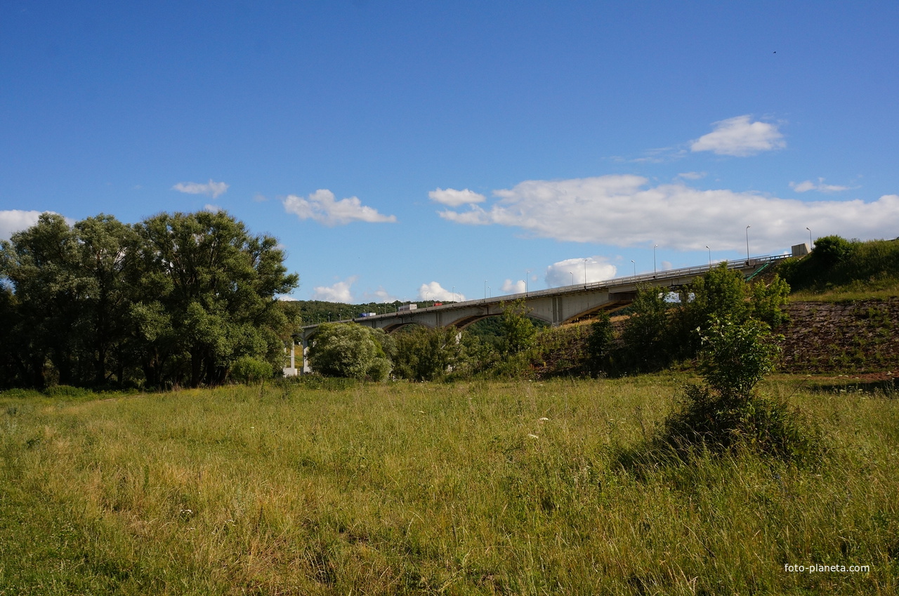 Заливной луг