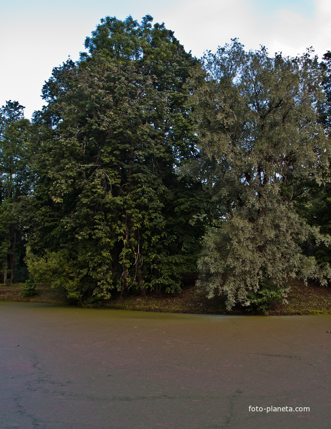 Александровский парк