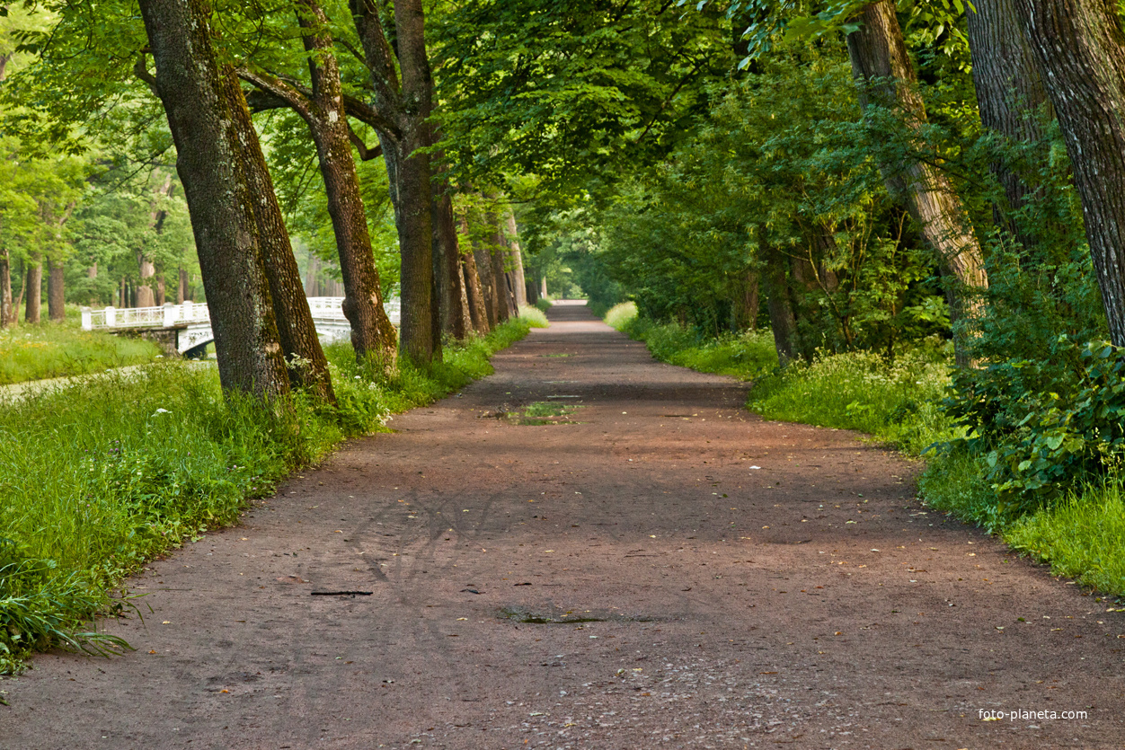 Александровский парк
