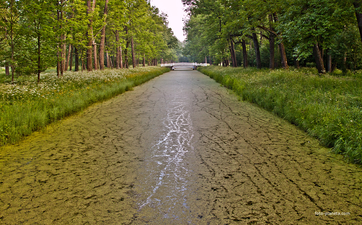 Канал в парке