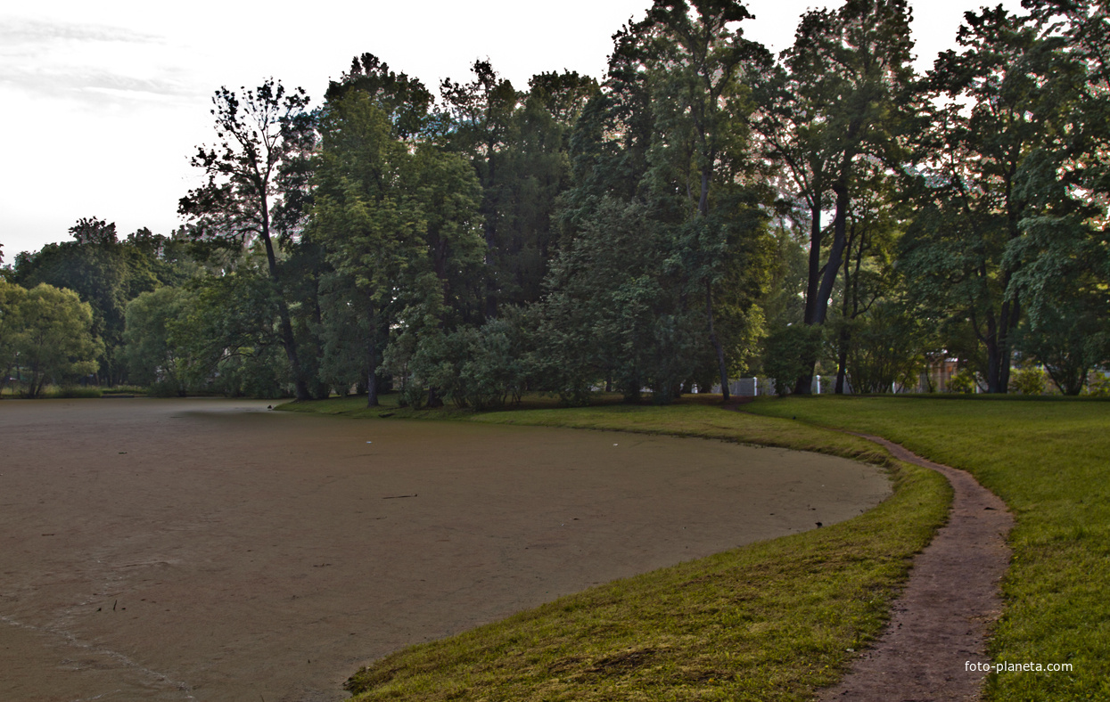 Кухонный пруд