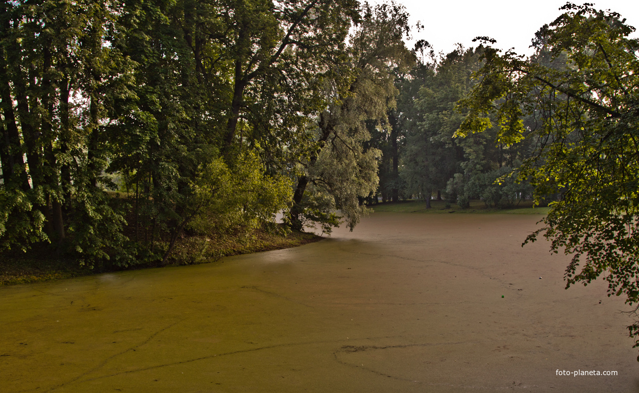 Кухонный пруд