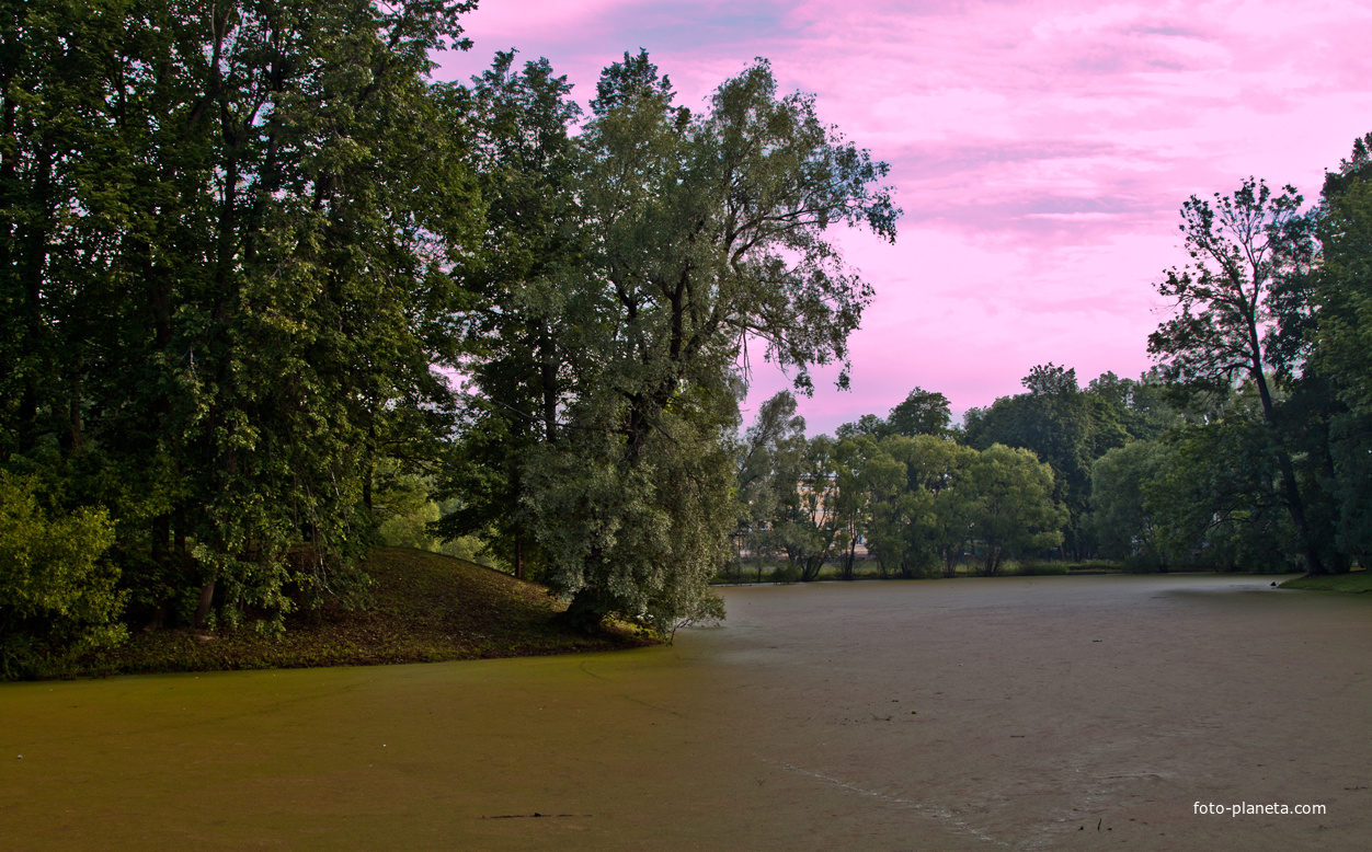 Кухонный пруд