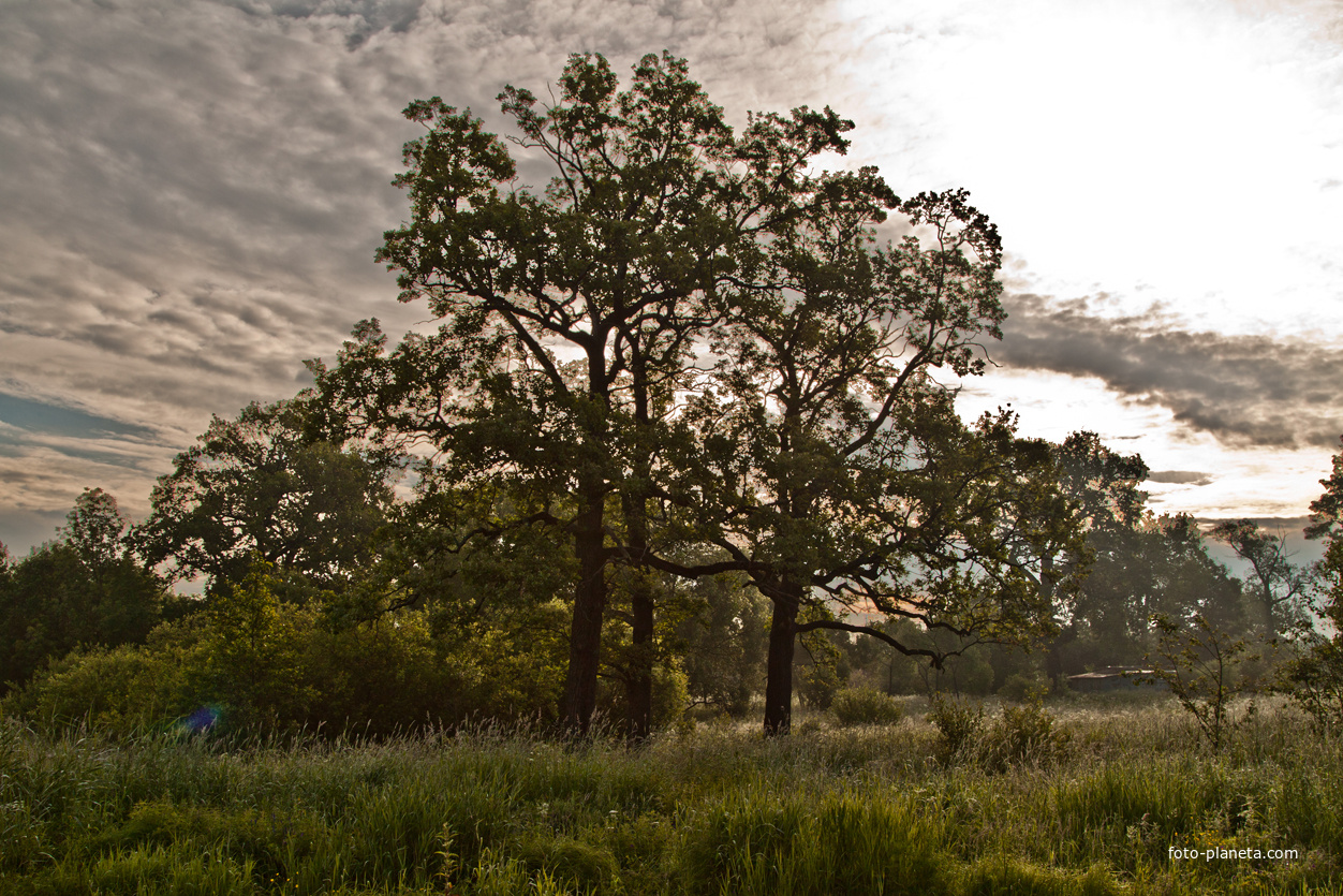 Фермский парк