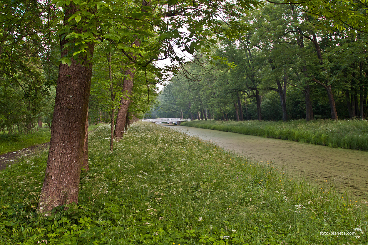Александровский парк