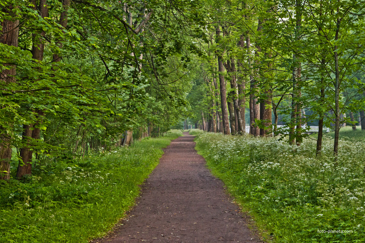 Александровский парк
