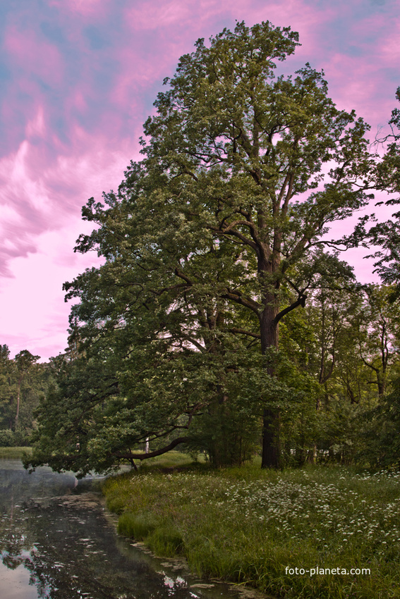 Александровский парк