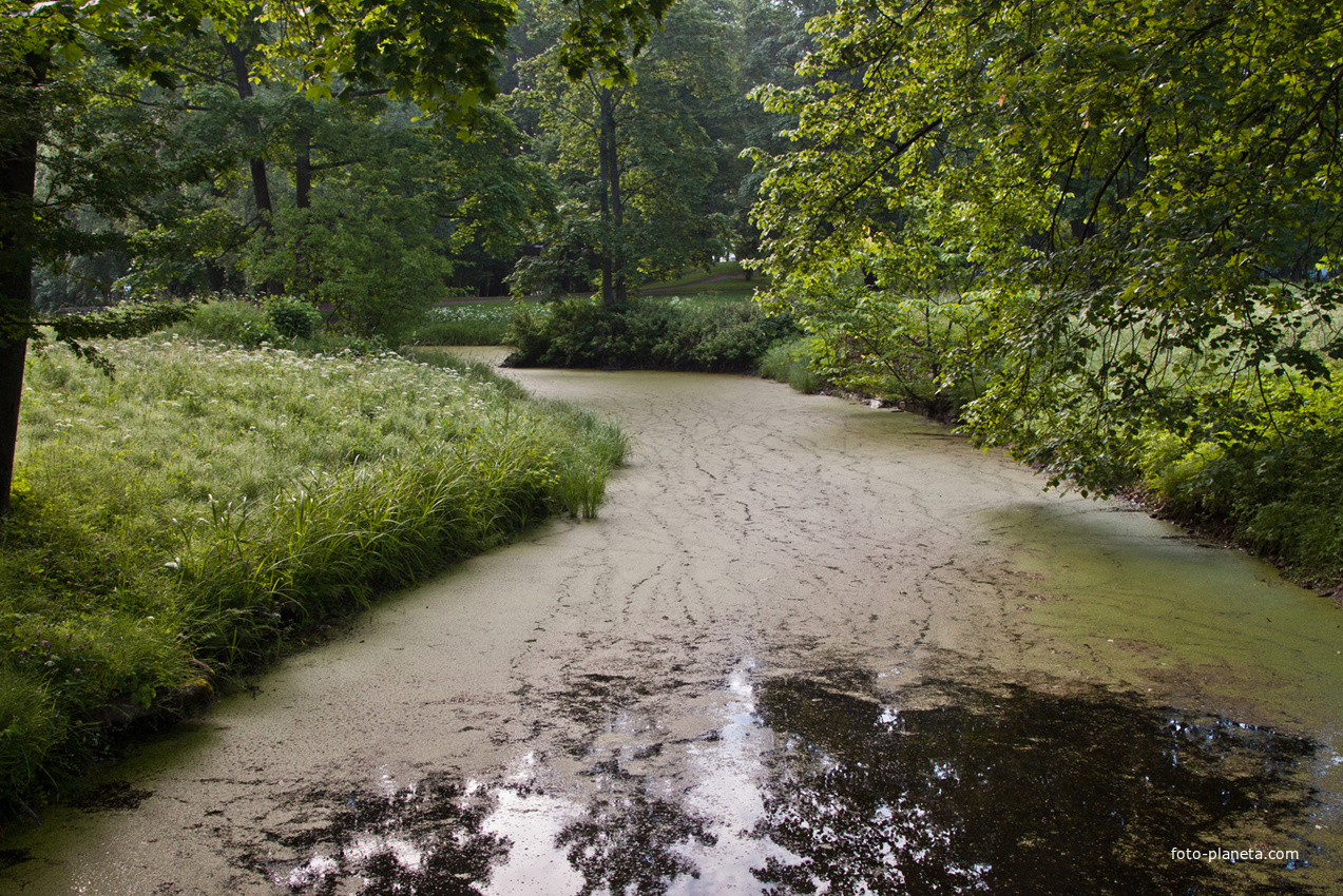 Александровский парк