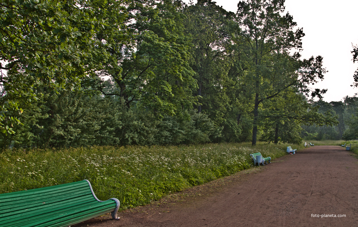 Александровский парк