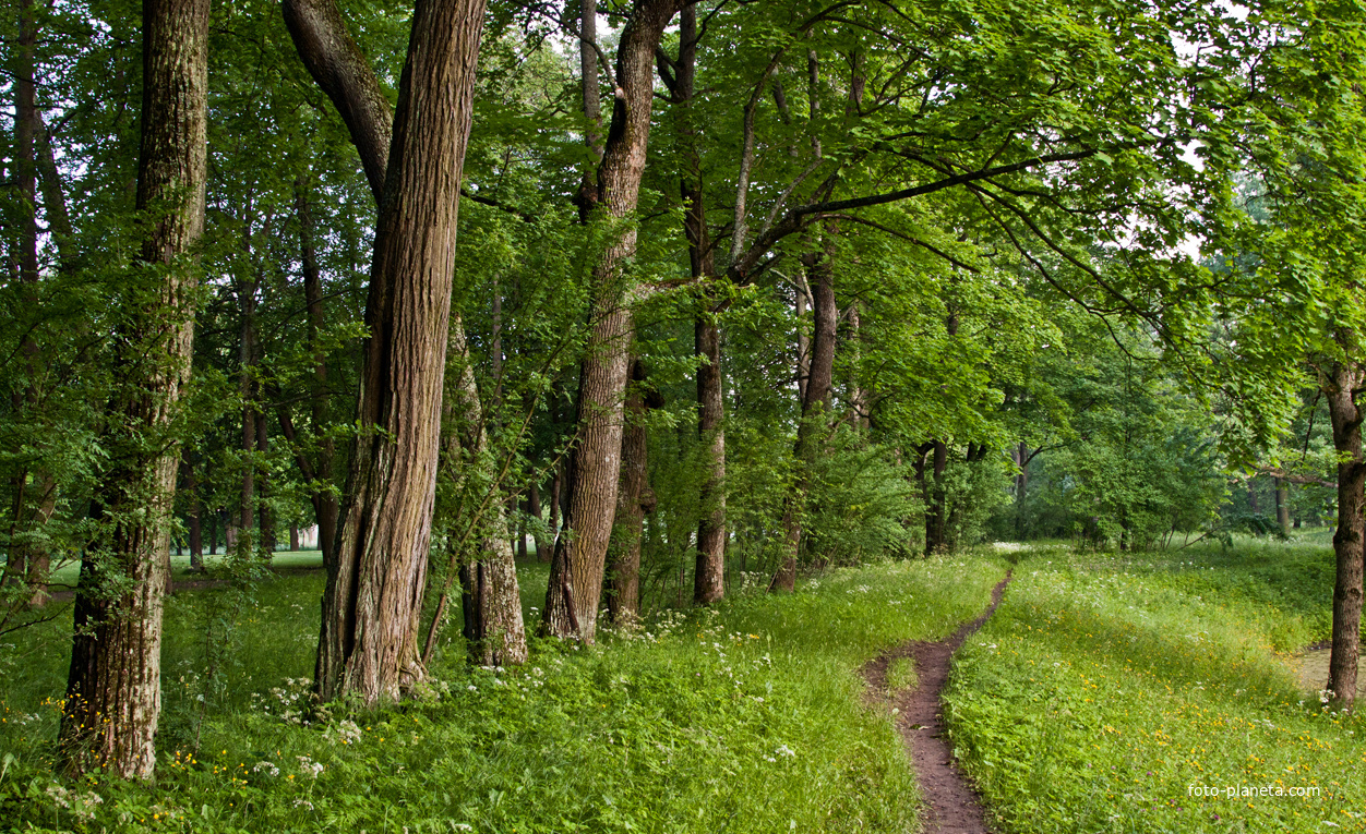 Александровский парк