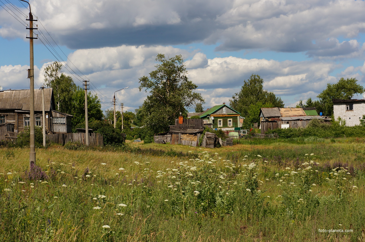 Деревня Белопесоцкие Выселки