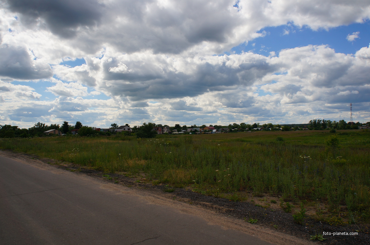 Белопесоцкий