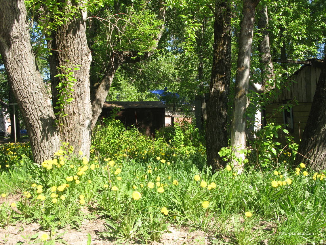 Сыктывкар 2014 - ул. Орджоникидзе