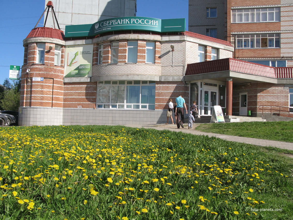 Сыктывкар 2014  - Орбита