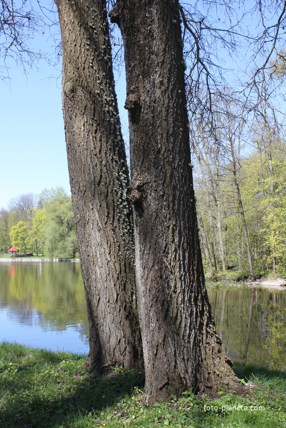 Марьино. Дворцово-парковый ансамбль XIX века.