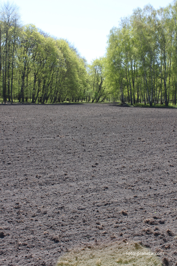 Марьино. Дворцово-парковый ансамбль XIX века.