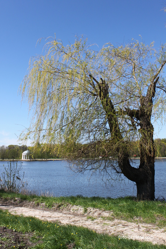 Марьино. Дворцово-парковый ансамбль XIX века.