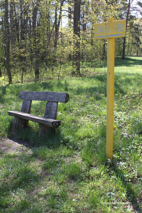 Марьино. Дворцово-парковый ансамбль XIX века.