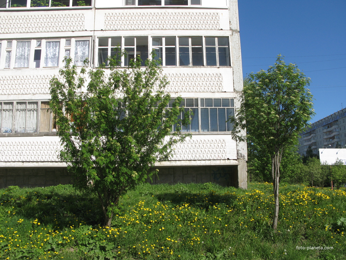 Сыктывкар 2014  - Орбита