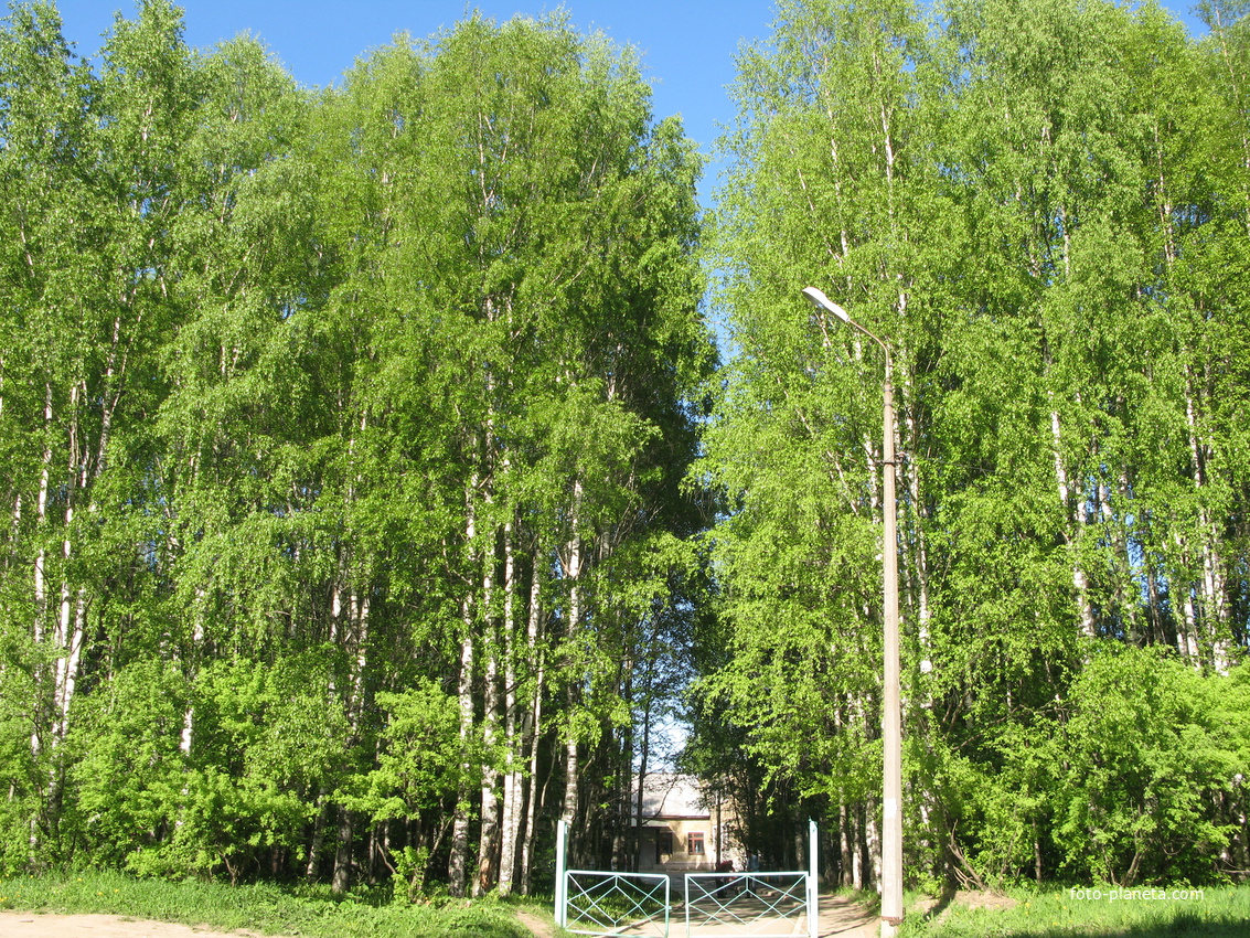 Сыктывкар 2014 -  ул. Тентюковская