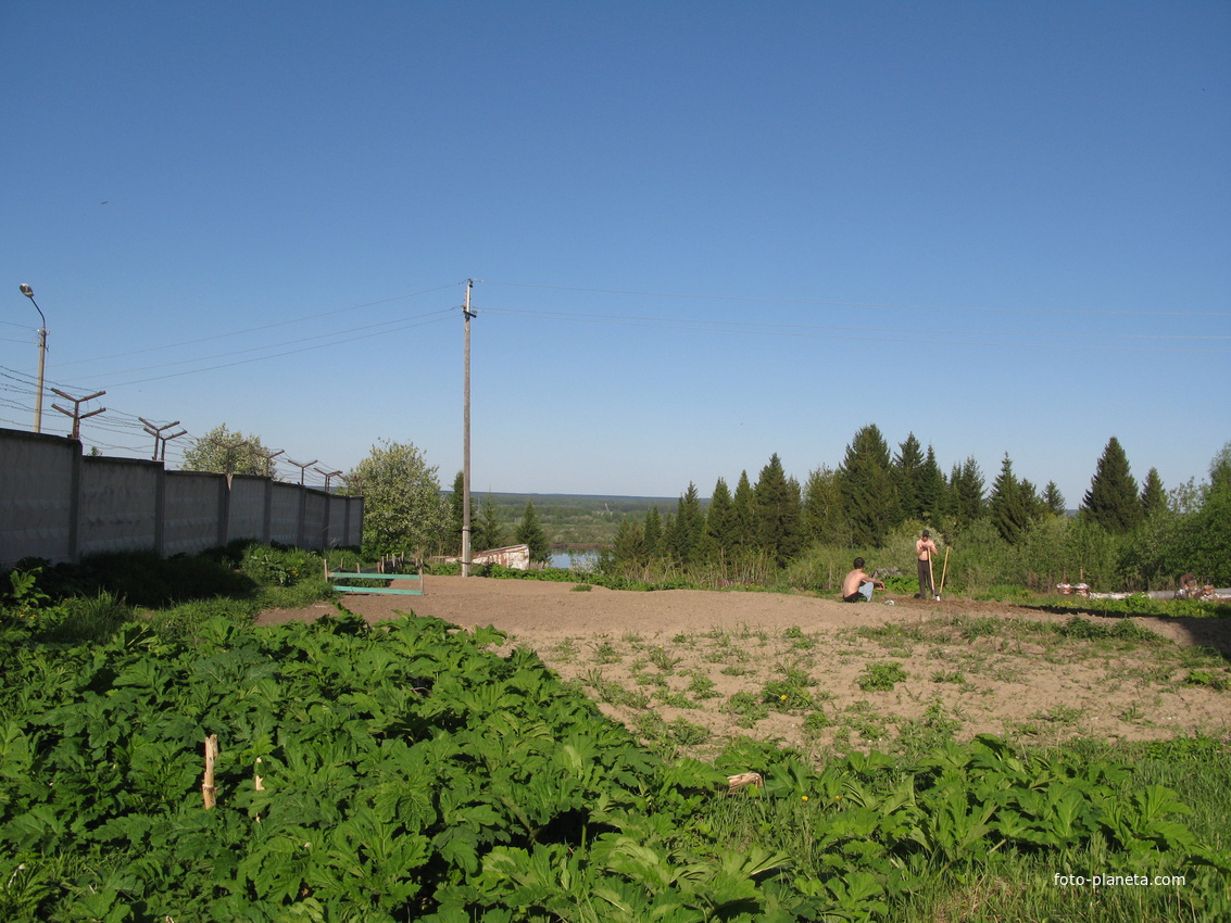 Сыктывкар 2014 -  ул. Тентюковская